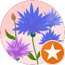 Krystyna profile picture